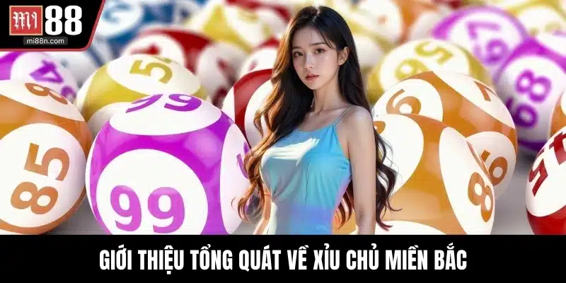 Giới thiệu tổng quát về xỉu chủ miền bắc