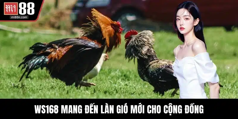 WS168 mang đến làn gió mới cho cộng đồng